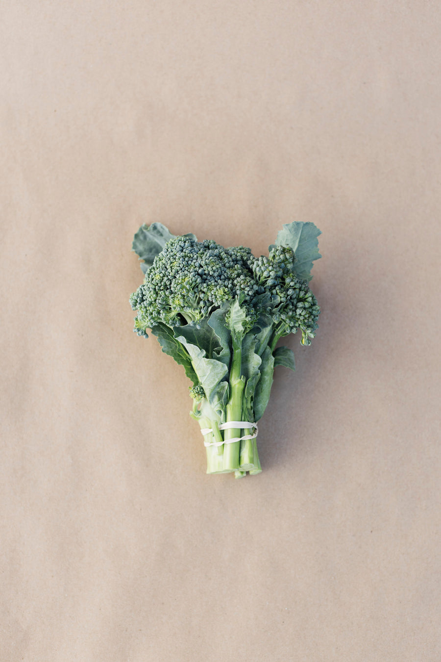Broccoli