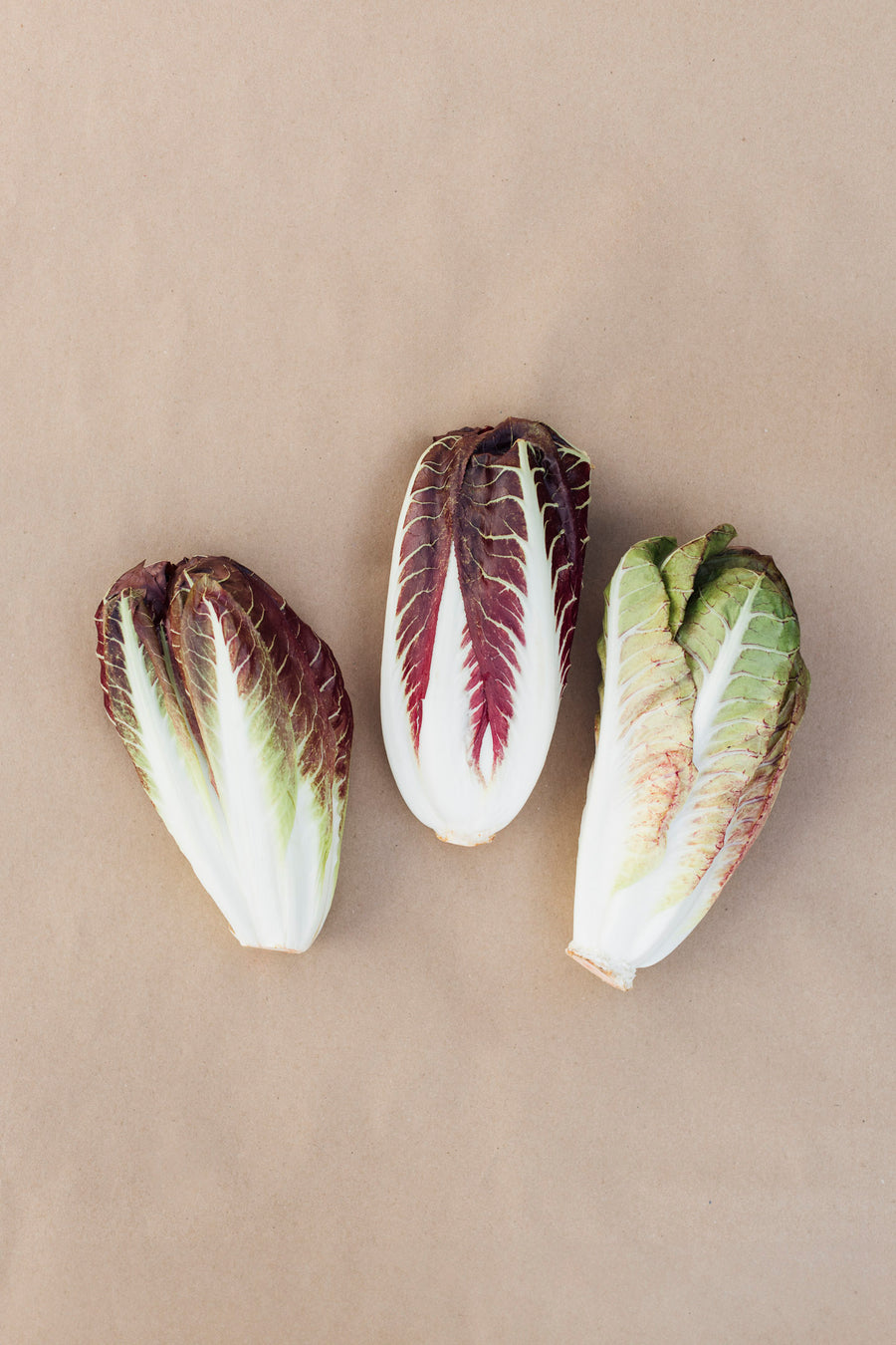Radicchio - Head