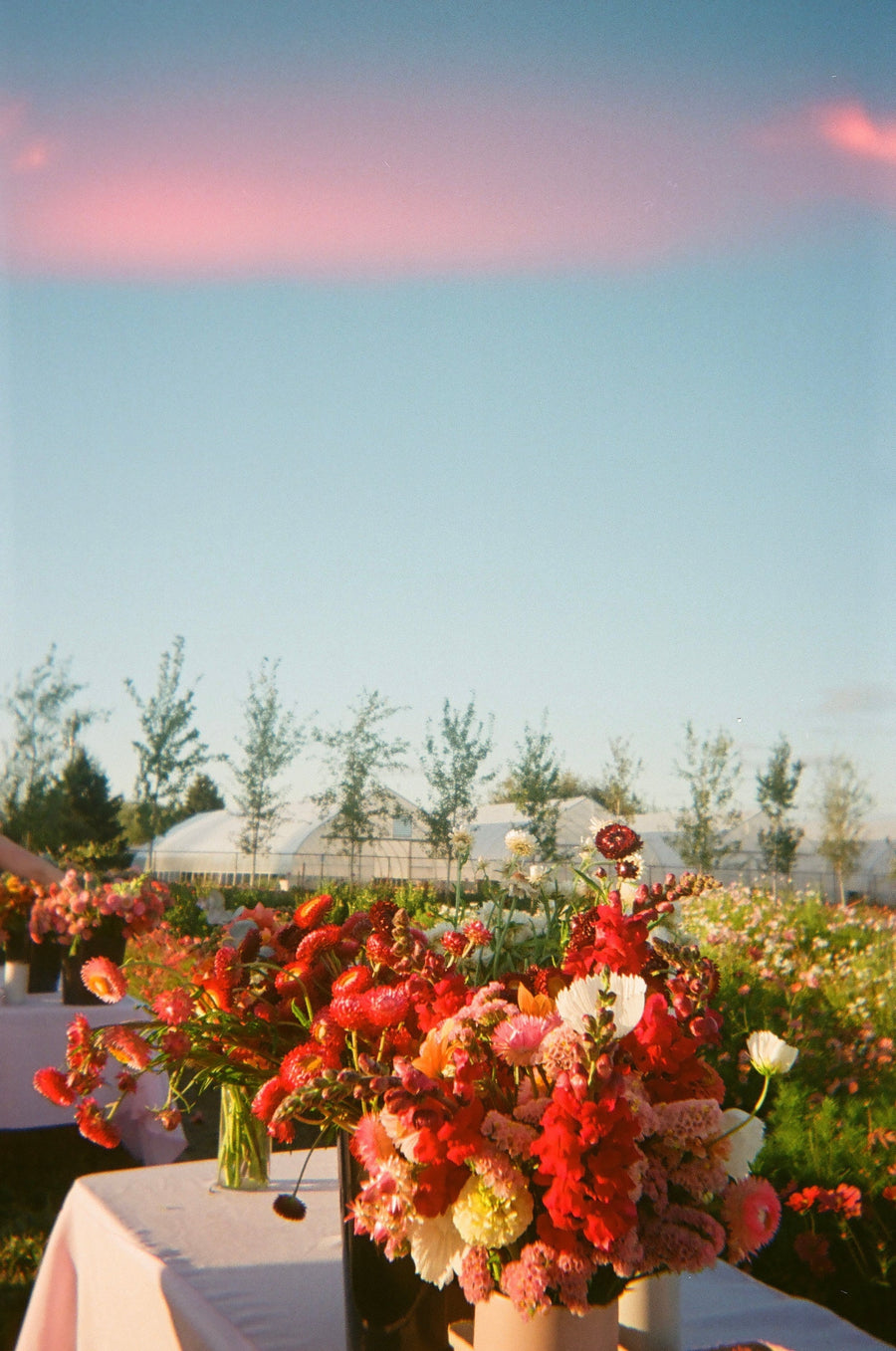 August 25, 2024 · Flower Workshop