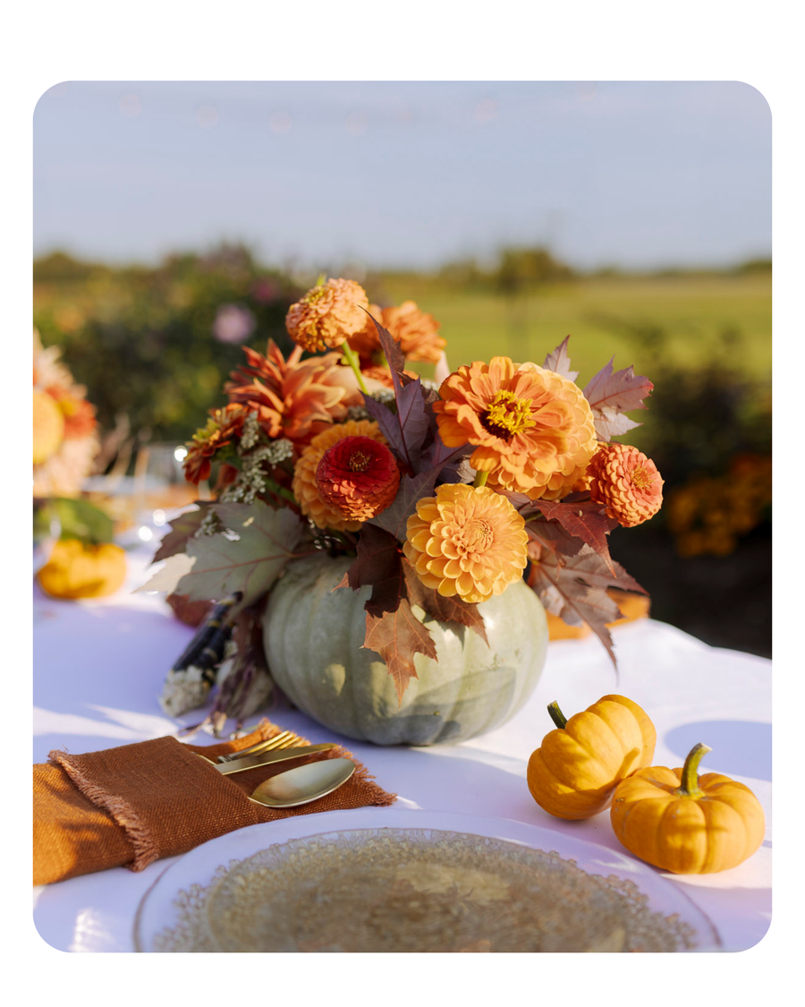 Pumpkin Centerpieces | October 17 - 18, 2025