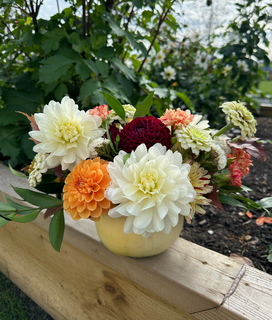 Pumpkin Centerpieces | October 17 - 18, 2025