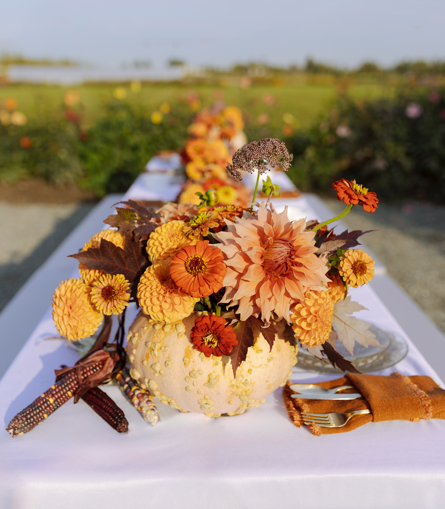 Pumpkin Centerpieces | October 17 - 18, 2025