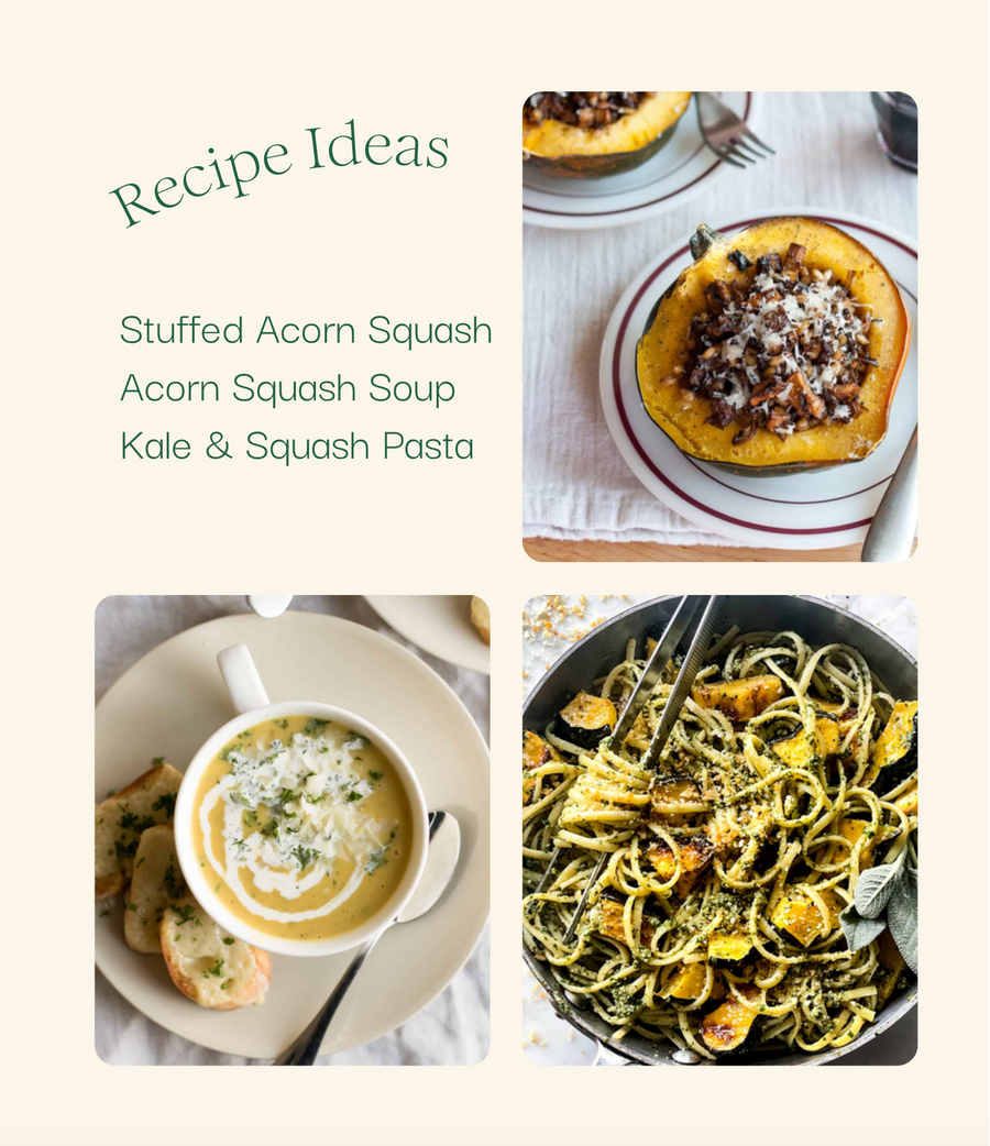 Squashed Order Organic Acorn Squash | Bulk Order – Athiana Acres